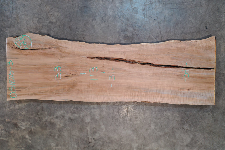 Big Leaf Maple Slab 051825-03