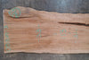 Big Leaf Maple Slab 051825-03