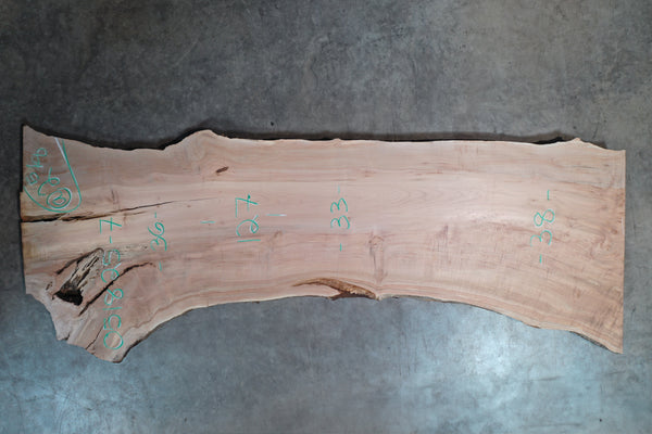 Big Leaf Maple Slab 051825-07