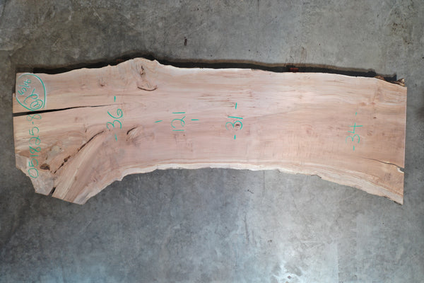 Big Leaf Maple Slab 051825-08