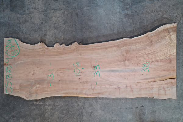 Big Leaf Maple Slab 051825-09