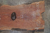 Oregon Black Walnut Slab 100525-8
