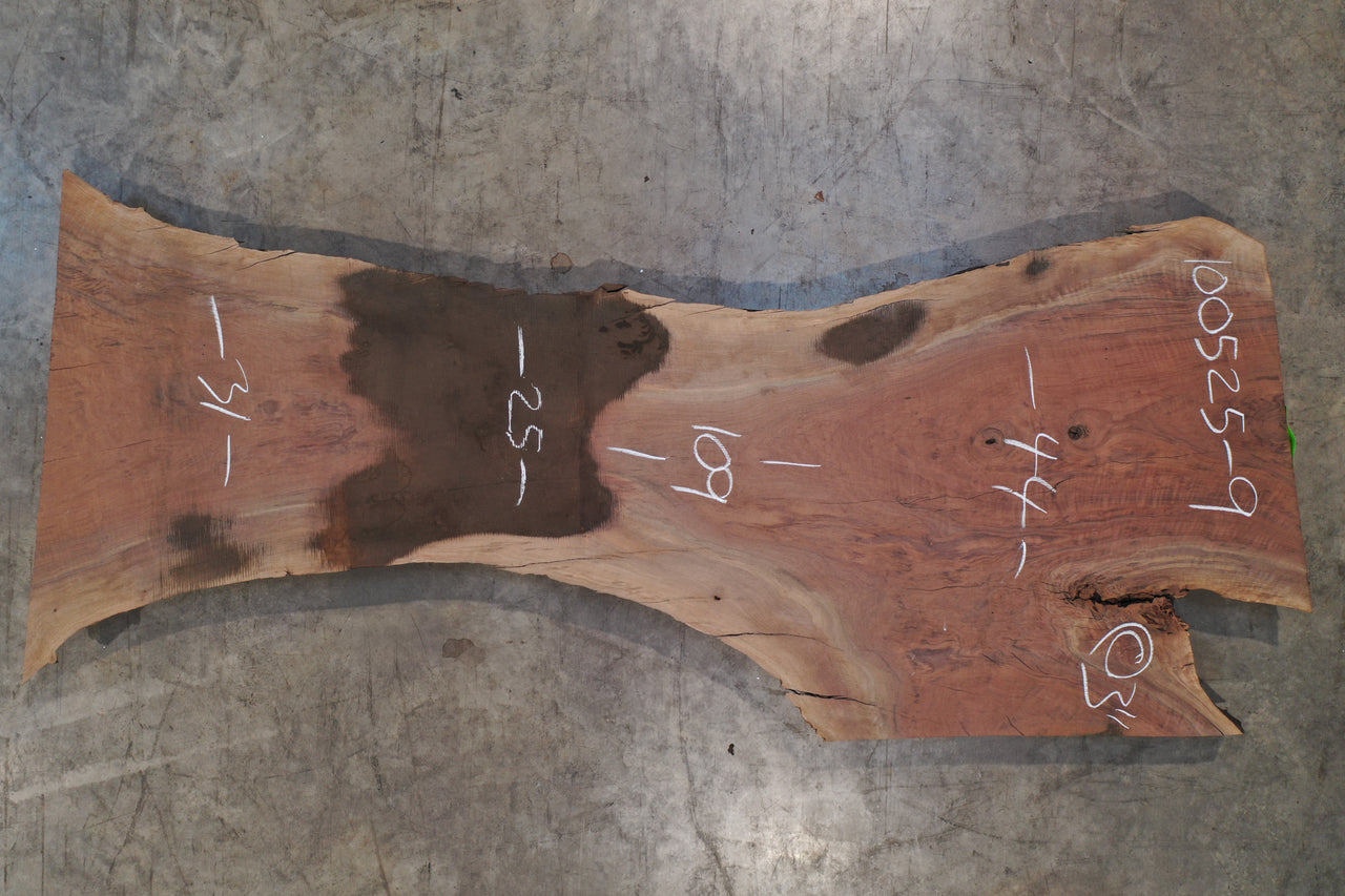 Oregon Black Walnut Slab 100525-9