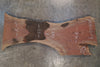 Oregon Black Walnut Slab 100525-9