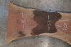 Oregon Black Walnut Slab 100525-9