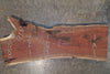 Oregon Black Walnut Slab 100525-11