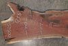 Oregon Black Walnut Slab 100525-11