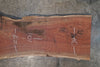 Oregon Black Walnut Slab 100525-11