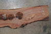 Oregon Black Walnut Slab 100525-2