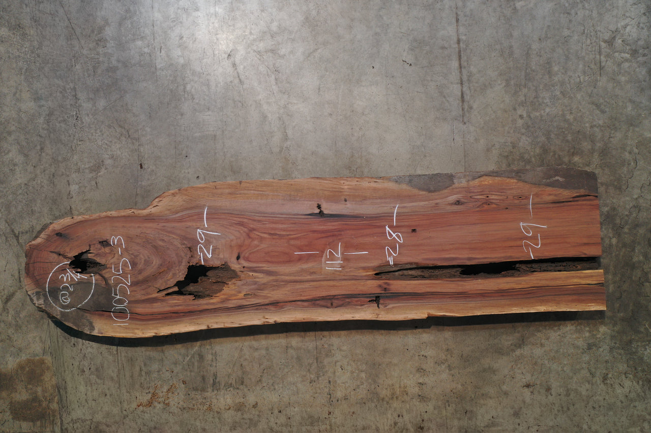Oregon Black Walnut Slab 100525-3