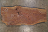 Oregon Black Walnut Slab 100525-4