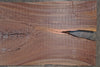 Oregon Black Walnut Slab 111319-09