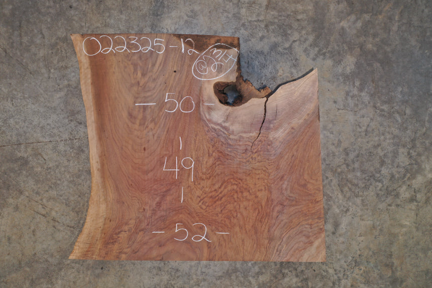 Oregon Black Walnut Slab 022325-12
