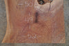 Oregon Black Walnut Slab 022325-12