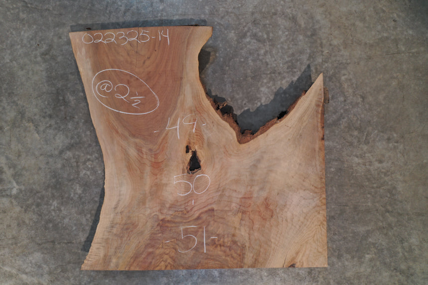 Oregon Black Walnut Slab 022325-14