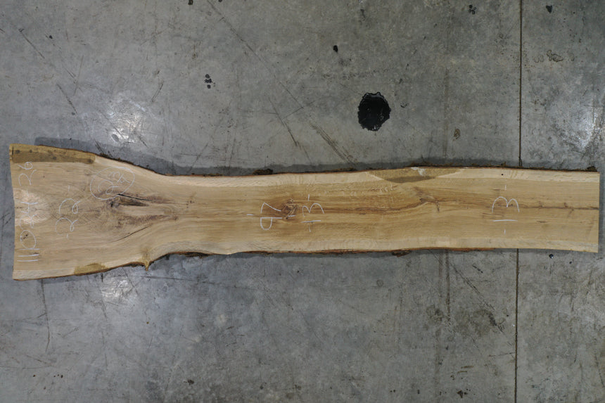 Oregon White Oak Slab 111024-26
