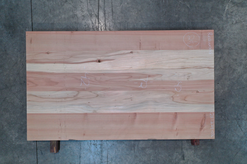 Redwood Planktop 081224-02
