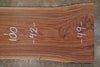 Oregon Black Walnut Slab 062220-05
