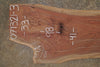 Oregon Black Walnut Slab 071321-03