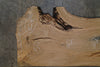 Oregon White Oak Slab 072025-10 MA