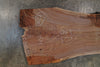 Oregon Black Walnut Slab 072025-3