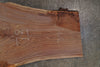 Oregon Black Walnut Slab 072025-3