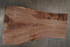 Oregon Black Walnut Slab 072025-4