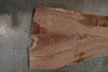 Oregon Black Walnut Slab 072025-4