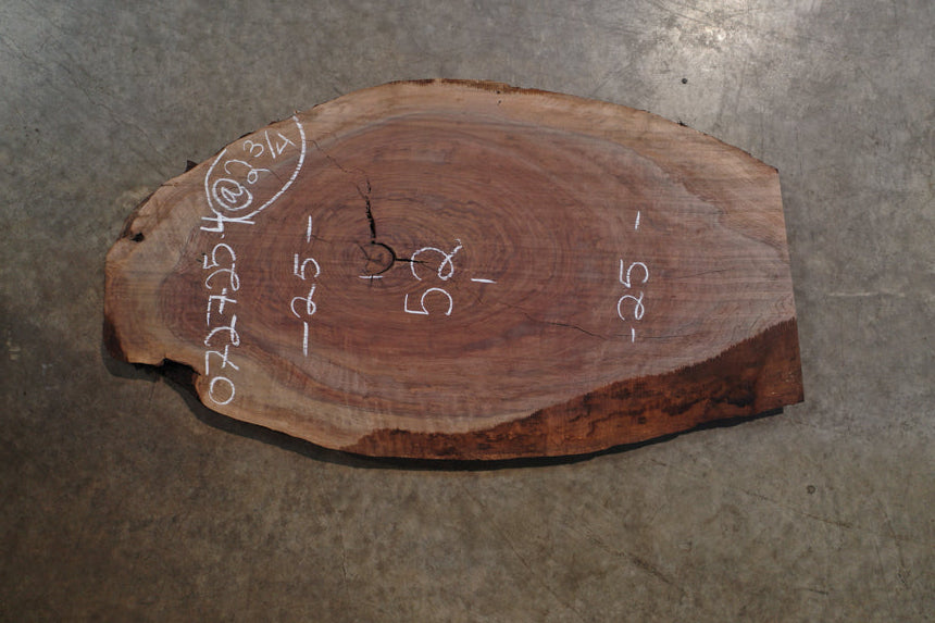 Oregon Black Walnut Slab 072725-4