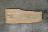 Beech Slab 110324-13
