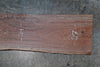 Oregon Black Walnut Slab 072725-1
