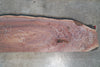 Oregon Black Walnut Slab 041325-07