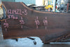 Oregon Black Walnut Slab 121422-03