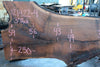 Oregon Black Walnut Slab 121422-04
