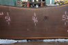 Oregon Black Walnut Slab 121422-06