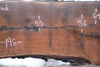 Oregon Black Walnut Slab 121422-11
