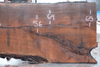 Oregon Black Walnut Slab 121422-11