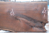 Oregon Black Walnut Slab 121422-13