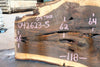 Oregon Black Walnut Slab 042623-05