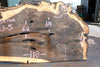 Oregon Black Walnut Slab 042623-05