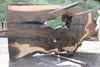 Oregon Black Walnut Slab 042623-07