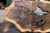 Oregon Black Walnut Slab 042623-07