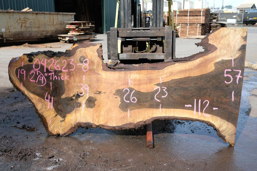 Oregon Black Walnut Slab 042623-08