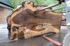 Oregon Black Walnut Slab 042623-10