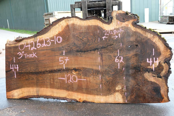 Oregon Black Walnut Slab 042623-10