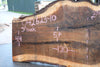Oregon Black Walnut Slab 042623-10