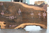 Oregon Black Walnut Slab 042623-13