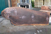 Oregon Black Walnut Slab 050623-02