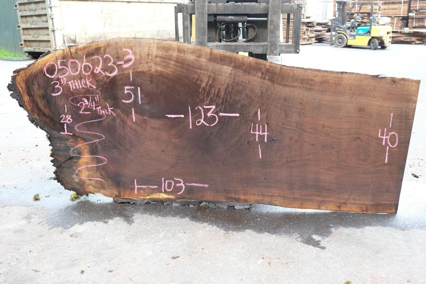 Oregon Black Walnut Slab 050623-03