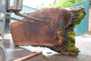 Oregon Black Walnut Slab 050623-04